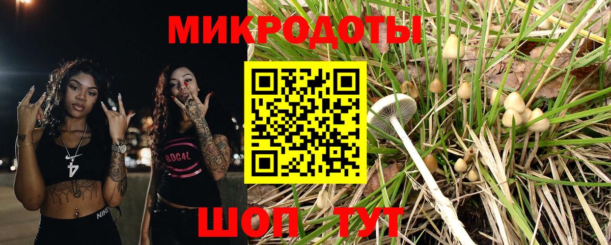 Нижний Новгород  Галлюциногенные грибы мицелий  Вход с VPN 